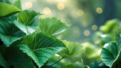 Poster - Blurred nature background with green leaves