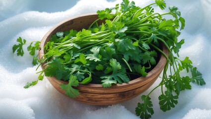 Aufkleber - Isolated white background featuring green cilantro leaves in a wooden bowl.