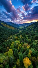 Wall Mural - Enchanting aerial view of a vibrant forest valley at dusk with dramatic clouds and colorful foliage in autumn season
