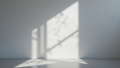 Poster - Sunlight casting shadows on a minimalist wall indoor space photography contemporary environment artistic viewpoint abstract concept