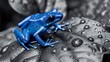 © Auon - Neon blue poison dart frog resting on a grayscale leaf its electrifying color creating a stunning contrast in selective color photography