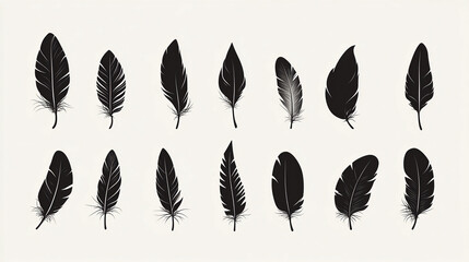 Poster - Black feather illustration set for graphic design projects and creative art vector backgrounds usage