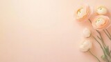 Flat lay of pale peach ranunculus flowers on a pastel peach background with shadows and empty margins for minimal text overlay.
