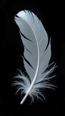 Poster - delicate white feather with intricate details and soft, wispy edges, set against black background, evokes sense of lightness and elegance