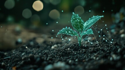 A digital sprout emerges, symbolizing growth and technological connection.