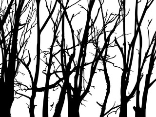 Black Branch Tree or Naked trees silhouettes set. Hand drawn isolated illustrations.