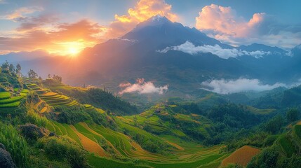 Poster - Stunning sunset over terraced rice fields and majestic mountains.