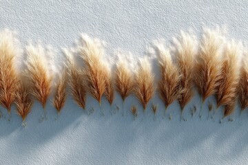 Poster - Decorative arrangement of pampas grass on a soft white surface during daylight creates a serene and natural aesthetic
