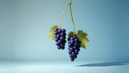 Poster - Organic Blue Grape Descending in Mid-Air Against a Blank Background