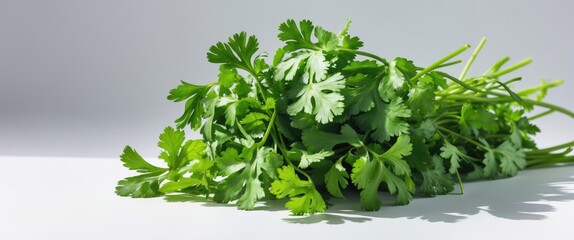 Poster - White backdrop with fresh coriander leaves