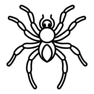 Tarantula line art vector