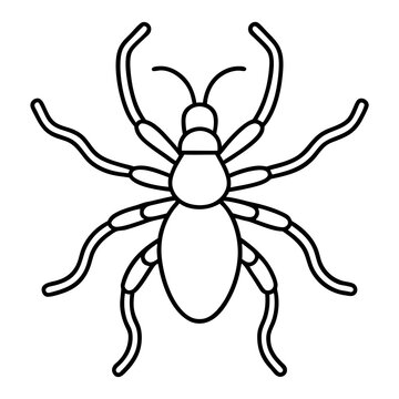 Tarantula line art vector