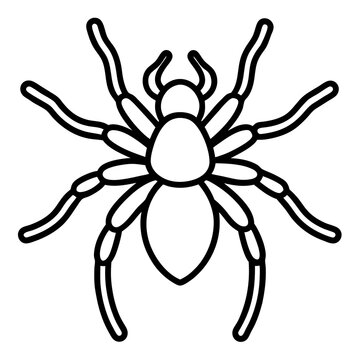 Tarantula line art vector