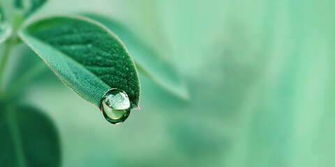 Poster - Close-up of a water droplet on a green leaf, showcasing nature's delicate beauty and purity, representing freshness, growth, and the environment