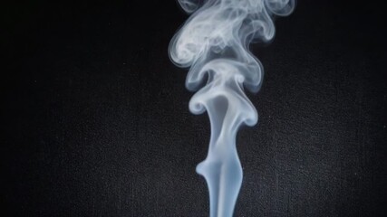 Poster - an abstract scene where dynamic black incense smoke 