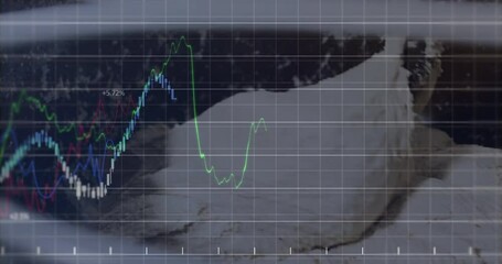 Poster - Graph lines and data overlaying snowy mountain landscape, showcasing animation analysis