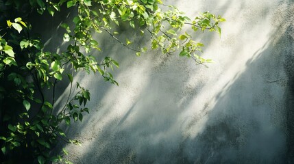 Wall Mural - lush green foliage casts shadows on a textured concrete wall, bathed in sunlight.