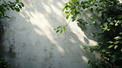 Wall Mural - sunlight dappled wall with green leaves and shadows.