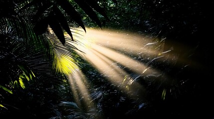 Wall Mural - a bright light shines through the leaves of a palm tree in the sunbeams of a tropical forest
