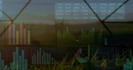 Poster - Financial data charts and graphs animation over grassy landscape at sunset