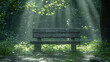 © MasTPX - A serene park bench sits bathed in the ethereal sunlight filte through lush green leaves creating a tranquil and peaceful atmosphere perfect for quiet contemplation and
