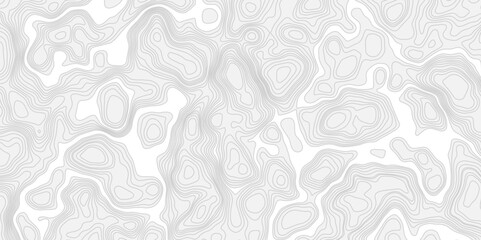 Poster - modern topography contour geometric out line soft white and grey map line background.
