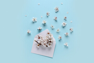 Envelope with beautiful blooming tree branch and flowers on blue background