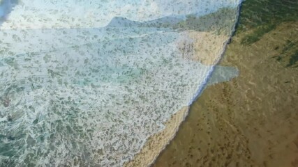 Poster - Ocean waves crashing on sandy beach with animation of leaves overlay