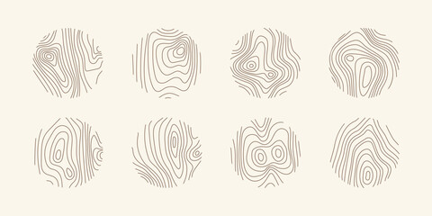 wood tree pattern texture icon, trunk with annual circle line of age pictogram, set vector design