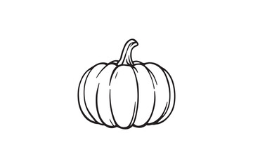 Pumpkin line art illustration