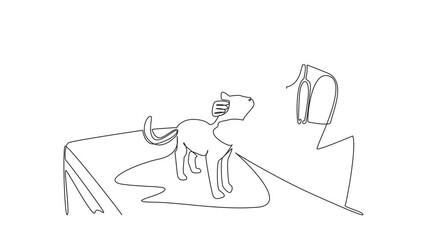 Poster - animated self drawing of single continuous line drawing female veterinarian examining head of cat. c