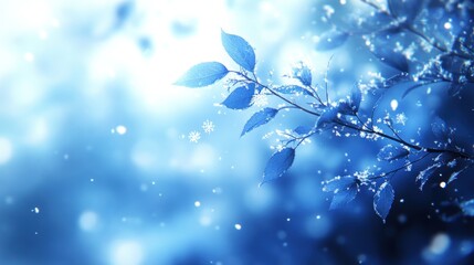 Aufkleber - Snow-covered leaves on a branch, winter scene.