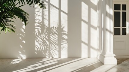 Poster - Elegant interior with shadows and tropical plant in bright space