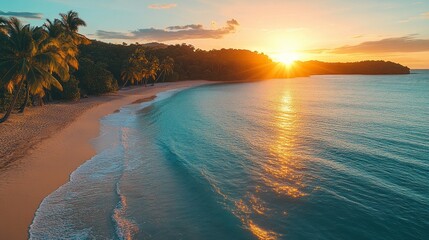 Aufkleber - Golden sunlight descends onto a tranquil tropical beach, casting warmth over soft sands. Palm trees sway gently, while the waves rhythmically kiss the shoreline, creating a peaceful escape