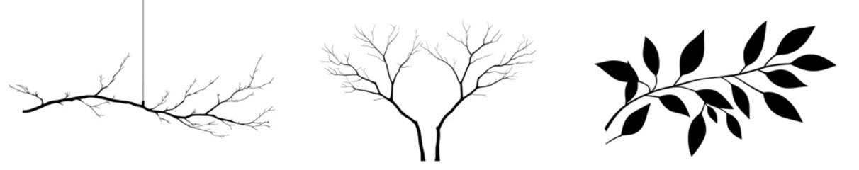 modern illustration of a branch silhouette icon set, symbol, and design isolated on a white backgrou