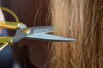 close-up of golden scissors cutting light brown hair precision and care in a hair trimming process m