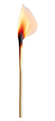 Wall Mural - png fire lighting glowing burning.