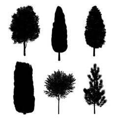 Poster - illustrations of modern trees in silhouette are hand-drawn and set against a white background