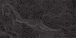 © Imran - Abstract Topographic Contours Map on a Black Background: Geometric Contour Lines and Circular Patterns Creating a Modern and Elegant Representation of Terrain and Elevation'