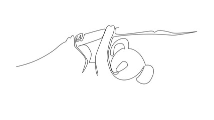 Poster - Animation of single continuous line drawing koala hanging upside down from a tree branch. Adorable behavior accompanied by thick hair. Marsupial. International Wild Koala Day. Full length motion