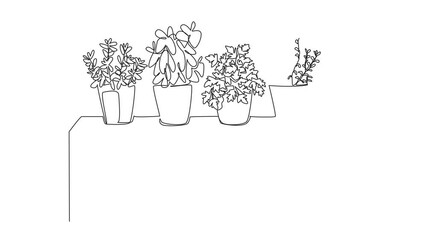 Wall Mural - animation of continuous one line drawing 4 pots containing various plants on top of cupboard. herbal