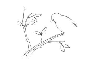 Poster - Self drawing animation of single continuous line drawing willow warblers perched on tree branches. The inconspicuous chirp. Sweet chirps in garden. International Dawn Chorus Day. Full length animated