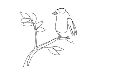 Poster - Self drawing animation of single one line drawing indian roller bird perched on tree branch with leaves. The bright one who is good at aerobatics. International Dawn Chorus Day. Full length animated