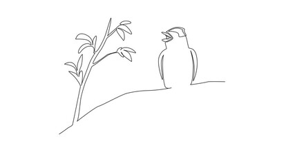 Poster - Animation of continuous one line drawing blackcap bird perched on tree branch with leaves. Cold weather resistant birds. The songbird. International Dawn Chorus Day. Full length motion