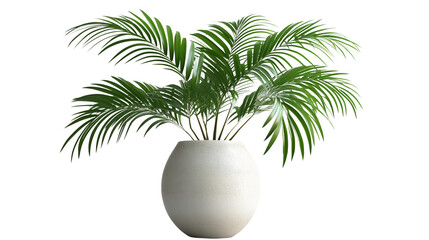 Tropical palm leaf in ceramic vase, minimal design, high-resolution and clean cut, PNG on white
