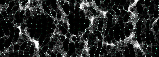 Fototapete - abstract distorted wireframe wave. vector curve surface background. technology grid pattern. black m
