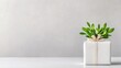 © MAKASIHMAS SIDNEY - White Gift Box Green Sprig Minimalist Style High-resolution, soft lighting Wide shot, simple design Gift presentation Neutral background Calm, serene mood Perfect for spring promotions