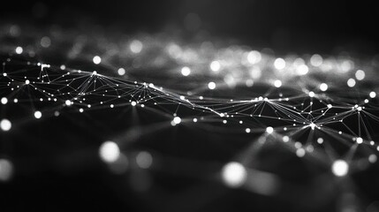 Poster - complex interconnected network with glowing nodes and lines in a black and white abstract representation of data visualization and connectivity