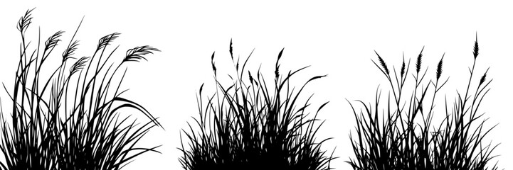 Poster - vector hand drawn silhouettes of grass showcasing different types and movements in a natural setting