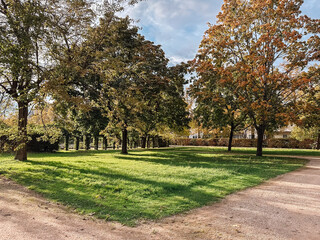 Wall Mural - park with trees and a gravel road